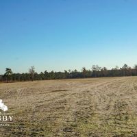 Mims Road Farm 2 images 2