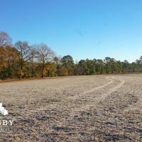 Mims Road Farm 2 images 5