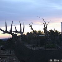 Wgi 0033