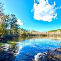 Beautiful Home in Greensboro AL images 4