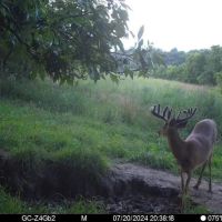 130 Acres of Prime Hunting Land in New Albin IA images 2