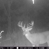 130 Acres of Prime Hunting Land in New Albin IA images 5