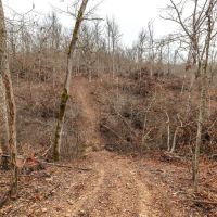 Ponderosa Valley Getaway images 4