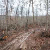 Ponderosa Valley Getaway images 5