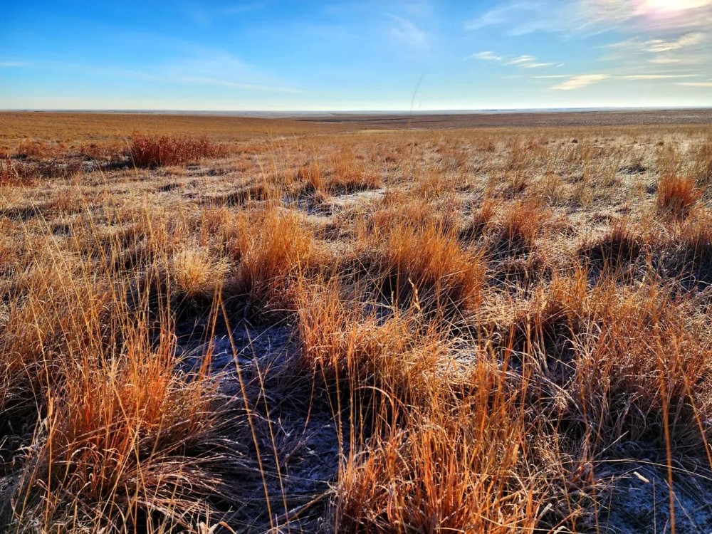 Large Parcel of CRP with Close Proximity to Denver Metro featured image