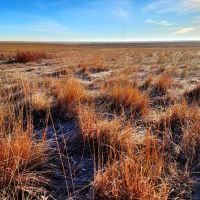Large Parcel of CRP with Close Proximity to Denver Metro images 1