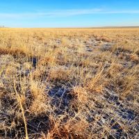Large Parcel of CRP with Close Proximity to Denver Metro images 2