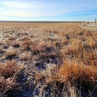 Large Parcel of CRP with Close Proximity to Denver Metro images 3