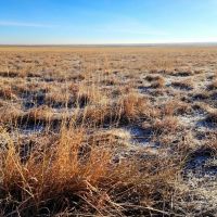 Large Parcel of CRP with Close Proximity to Denver Metro images 5