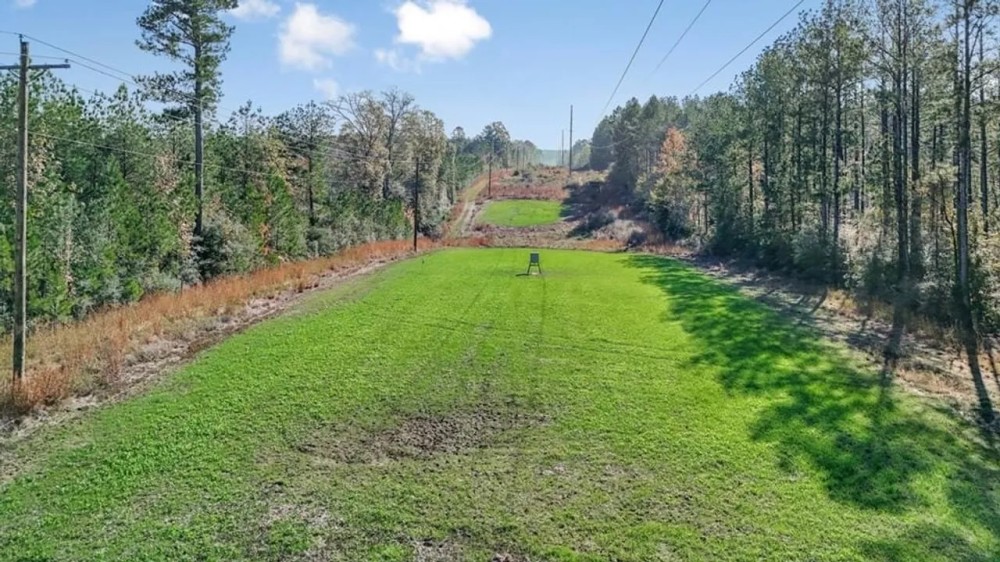 Land For Sale in Amite County MS featured image