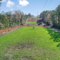 Land For Sale in Amite County MS