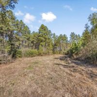 Land For Sale in Amite County MS images 3