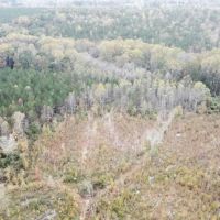 Hamilton Homesite Tract 1B images 3