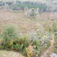 Hamilton Homesite Tract 1B images 4