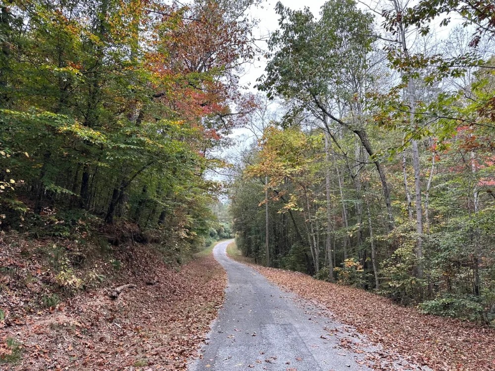 Glenn Road Tract 2F featured image