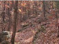 Dove Hunting Fall River State Park 9,000 acres in Woodson, KS images 4