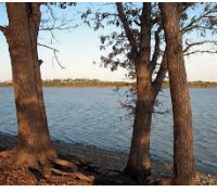 Dove Hunting Fall River State Park 9,000 acres in Woodson, KS images 6