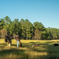 Buckelew Farm images 2