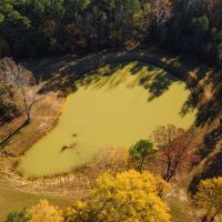 59.07 Acres with a Cabin in Webster County MS images 4