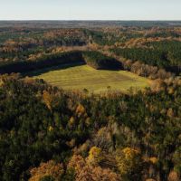 59.07 Acres with a Cabin in Webster County MS images 5
