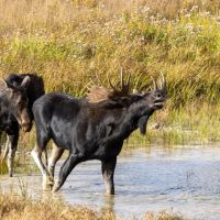 Cassia Creek Ranch