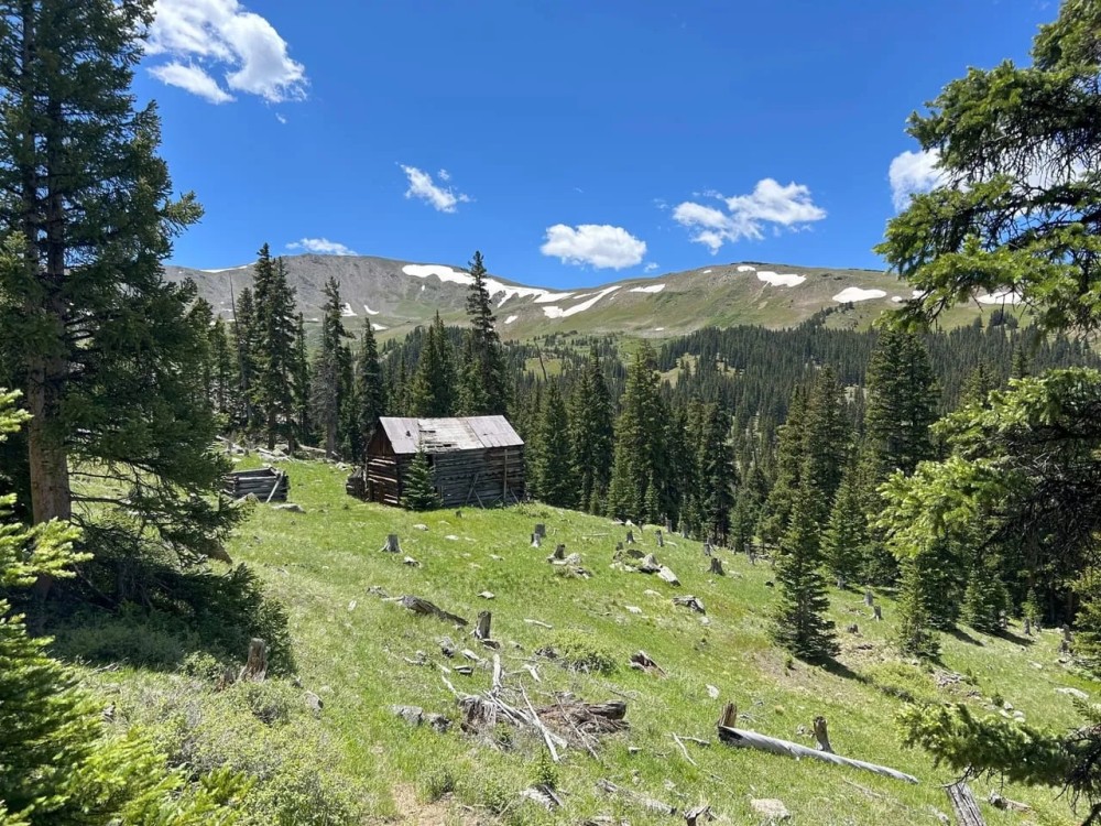 Backcountry Hunting Property Road 398 Buena Vista Colorado featured image