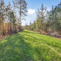 Land For Sale in Amite County MS