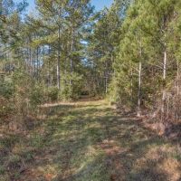 Land For Sale in Amite County MS images 2