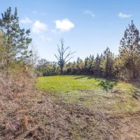 Land For Sale in Amite County MS images 3