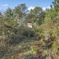 Land For Sale in Amite County MS images 4