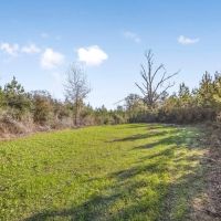 Land For Sale in Amite County MS images 5