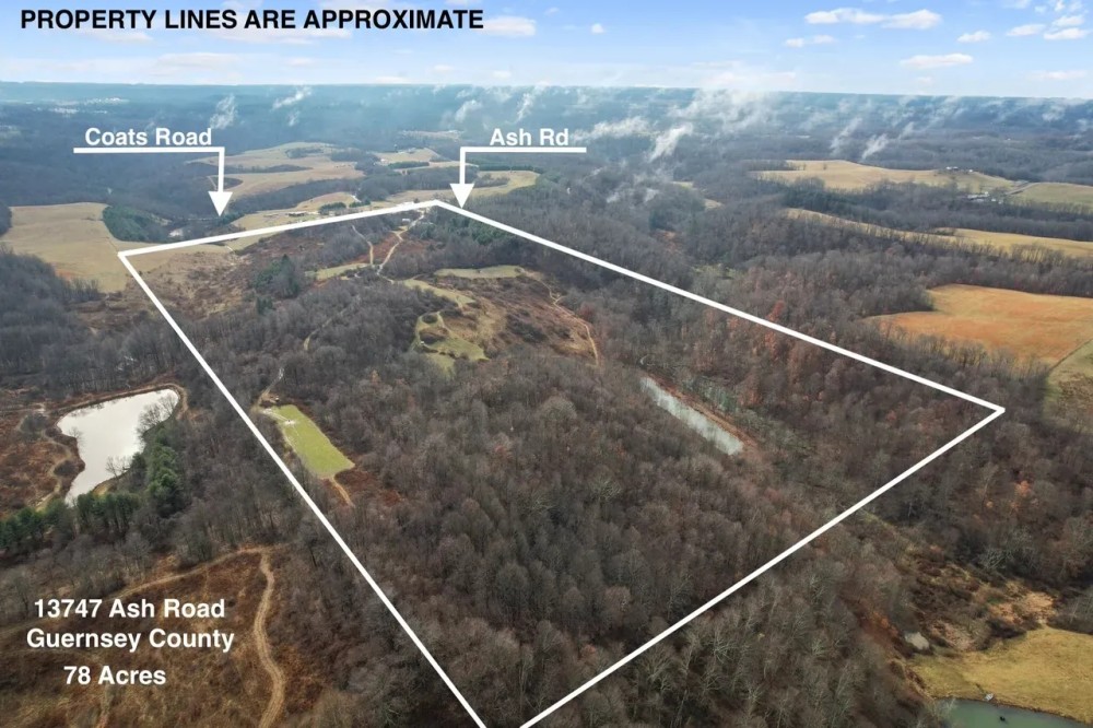 Ash Rd - 78 acres - Guernsey County featured image