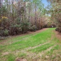 84 - Acres for Sale Connecting to Homochitto Forest images 3