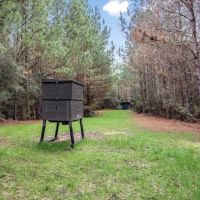 84 - Acres for Sale Connecting to Homochitto Forest images 4