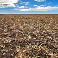 Section of Prime Cropland Pasture with Mostly Class II Soils