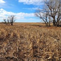 Section of Prime Cropland Pasture with Mostly Class II Soils images 2