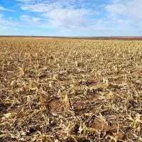 Section of Prime Cropland Pasture with Mostly Class II Soils images 3