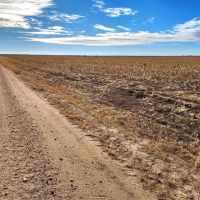 Section of Prime Cropland Pasture with Mostly Class II Soils images 4
