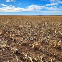 Section of Prime Cropland Pasture with Mostly Class II Soils images 5