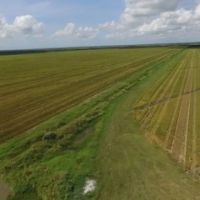 1450 Acre Row Crop Farm in Brazoria County images 3