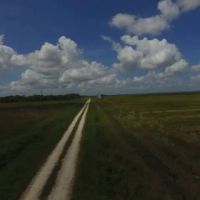 1450 Acre Row Crop Farm in Brazoria County images 4