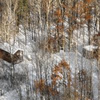 Whitetail Property for sale in Adams County Wisconsin images 4