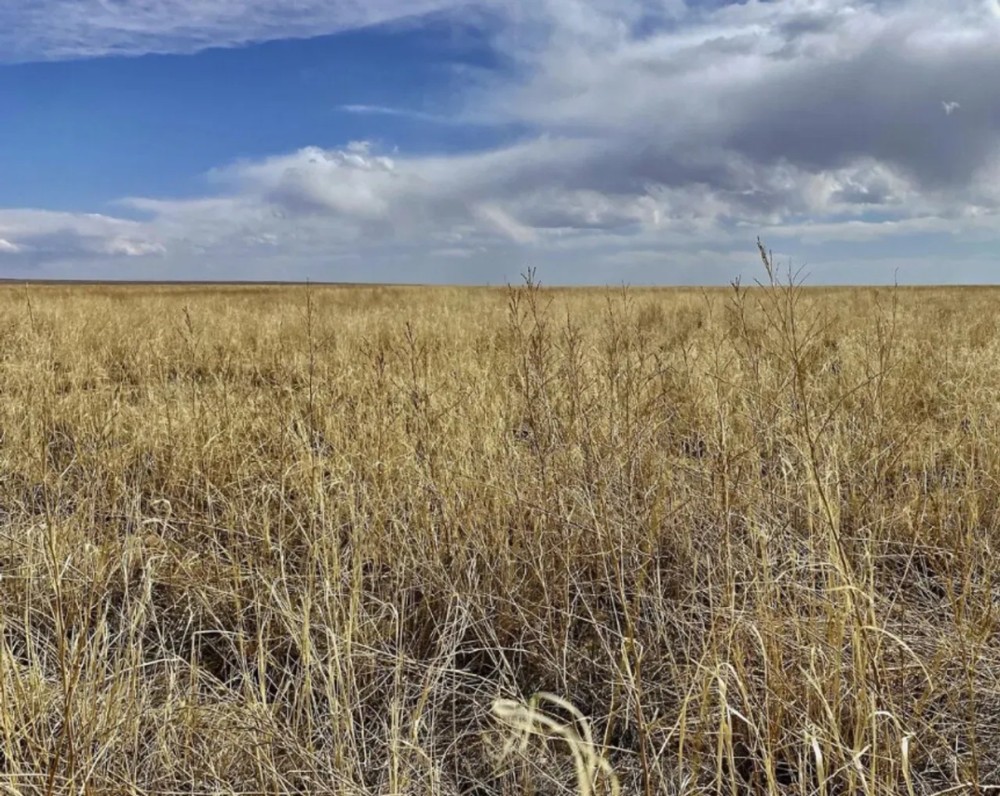 Grassland CRP Half Section with Paved Highway Frontage featured image