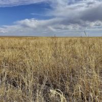 Grassland CRP Half Section with Paved Highway Frontage