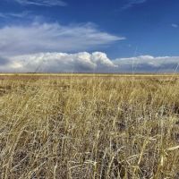 Grassland CRP Half Section with Paved Highway Frontage images 2
