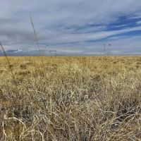 Grassland CRP Half Section with Paved Highway Frontage images 3