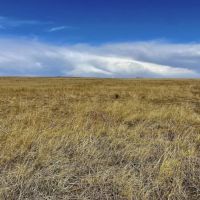 Grassland CRP Half Section with Paved Highway Frontage images 4
