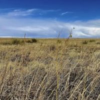 Grassland CRP Half Section with Paved Highway Frontage images 5