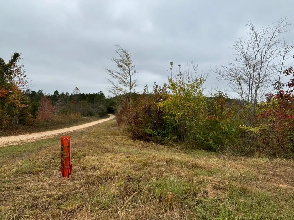 Marion County Homesite Tract 2A featured image