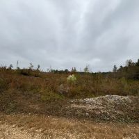 Marion County Homesite Tract 2A images 2